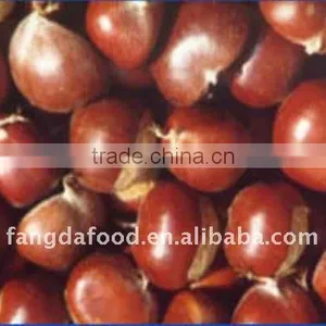 Chinese Fresh Tasty Chestnut thumbnail-1