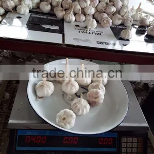 YUYUAN Brand Hot Sail Fresh Garlic Black Garlic Extract thumbnail-5