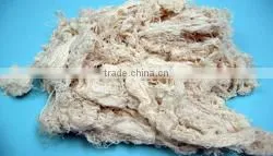 Cotton OE Yarn thumbnail-1