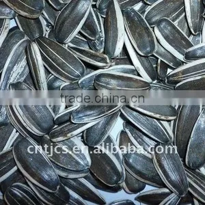 Organic Sunflower Seeds 20/64,22/64, 24/64 thumbnail-1