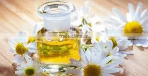 Chamomile Oil thumbnail-1