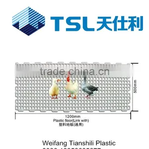 China Farm Plastic Chicken Slat Floor thumbnail-2