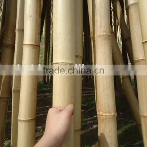 Raw and High Quality Bamboo Pole. thumbnail-2