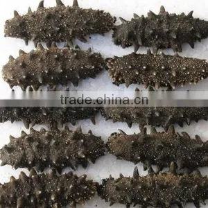Sea Cucumber Microwave Vacuum Dryer thumbnail-4