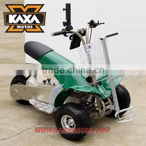 1000W Golf Buggy thumbnail-1