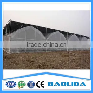 Large Multi Span Green House thumbnail-6