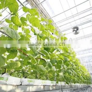 Commercial Greenhouse thumbnail-1