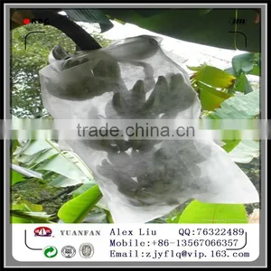 Non-woven Fruit Insect-resistant Bags, Nonwoven Bag of Banana ,Non Woven Bag of Grapes thumbnail-1