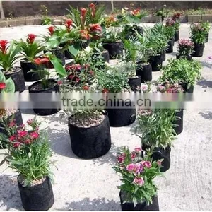 Potato Planting Bag thumbnail-6
