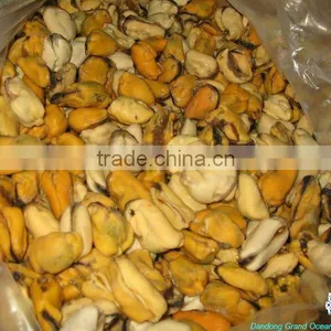 Seafood Frozen Cooked Blue Mussel thumbnail-1