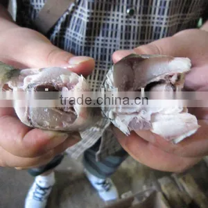 Seafood (W/R Pacific Mackerel) thumbnail-1
