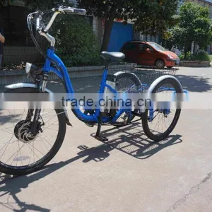 3 Wheel Electric Trike Electric Cargo Trike for Sale thumbnail-3