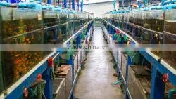 Ornamental Fish Farm and Export Company thumbnail-3