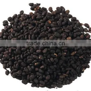 Babchi Seed thumbnail-1