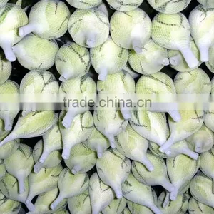 Rose Flower Protective Bud Netting thumbnail-3