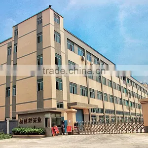 Guangdong New Vision Film Co., Ltd. company overview - view 1 thumbnail