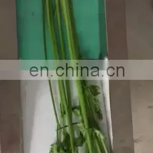 Vegetable Automatic Cutting Equipment / Vegetable Slicer Machine / Vegetable Cutter for Sale thumbnail-1