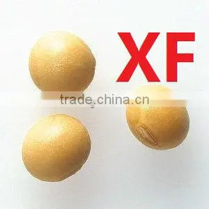 Organic Soya Bean thumbnail-1
