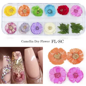 Babysbreath Dry Flower For Nail Decorations Dried Flowers Nail thumbnail-2