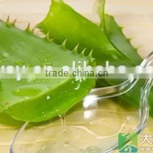 Pure Aloe Vare Essential Oil Effective to Healing Skin Afflictions And Wounds OEM thumbnail-1