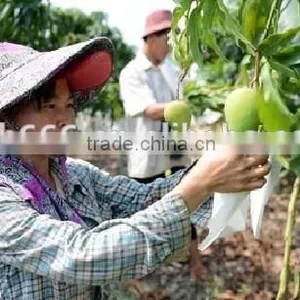 Different Sizes Fruit Protection Paper Bag thumbnail-6