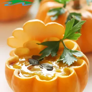 Fresh Frozen Pumpkin Puree - Homemade-Style Nutritious Baby (Baby Food) & Cooking Ingredient, No Sugar Added, High in Fiber & Vitamins thumbnail-4