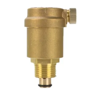 Manufacturer Direct Sales Brass Exhaust Valve thumbnail-1