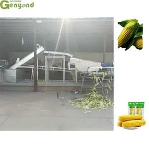 Hot Sale Automatic OEM Customized Corn Washing BLANCHING Processing Production Line thumbnail-1