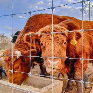 Hot Dipped Galvanized Cattle Fence Fixed Knot Field Fence for Ranch Livestock thumbnail-3