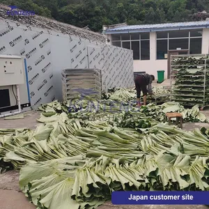 Seafood Chicken Manure Box Dryer Pumpkin Seed Fish Spinach Angelica Sinensis Dryer thumbnail-5