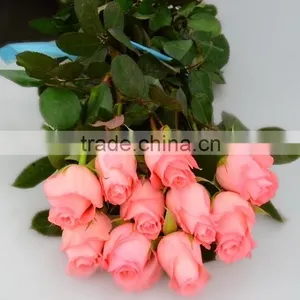 Colorful Diana Fresh Roses Decoration thumbnail-1