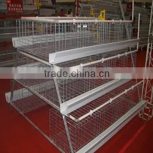 Chicken Broiler /cock Cage With Automatic Poultry Equipment thumbnail-2