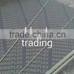Marine Plywood/shuttering Plywood/film Faced Plywood Same Qaulity With DANUBE,CNBM,PVS thumbnail-4