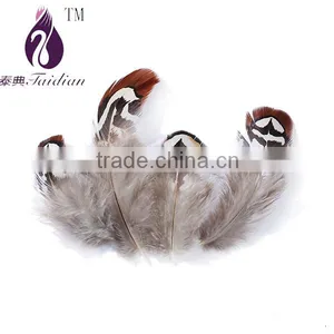 Natural Color Pheasant Chicken Feather for Hat and Party Decoration,cheap Feathers Quality Choice thumbnail-1