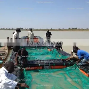 Tilapia Fish Farming Cages in Rivers thumbnail-1