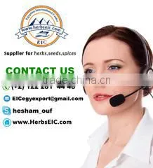 The Egyptian International Center For Export company overview - view 1 thumbnail