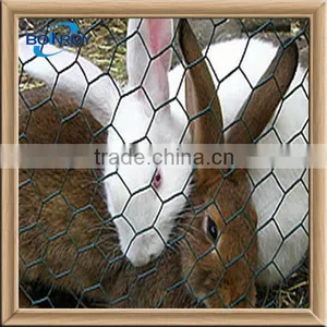 Pvc Coated Hexagonal Wire Mesh Netting for Rabbit Fencing Mesh thumbnail-1