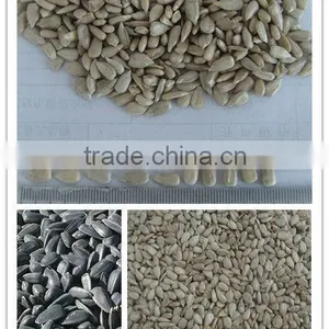Oil Sunflower Seed Kernels (bakery Grade) thumbnail-1
