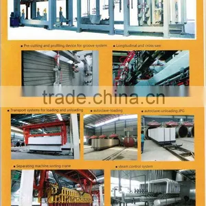 Economic Top Sell Aac Block Production Line/ Aac Equipment thumbnail-1