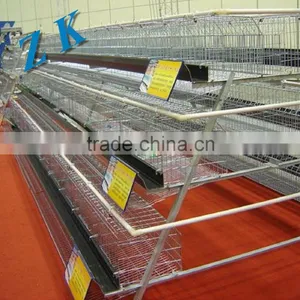 Design Layer Chicken Cage For Sale From Chicken Cage Factory (2015 Top Selling, Promotion, Fast Delivery thumbnail-5