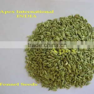 Apex Supplies Quality Foeniculum Vulgare Fennel / Foeniculum Vulgare / Fennel Seeds / Saunf thumbnail-2