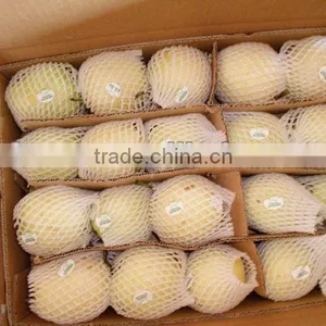 Chinese Sweet Gong Pear thumbnail-1