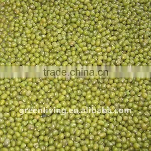 Chinese Green Mung Bean(dry) thumbnail-1