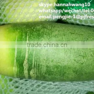 2016 White Green Fresh Radish thumbnail-4