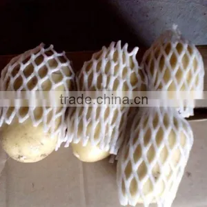 Fresh Holland Potato thumbnail-1