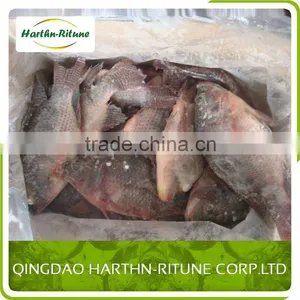 Iqf Frozen Tilapia Fillet Fish Wholesale thumbnail-5