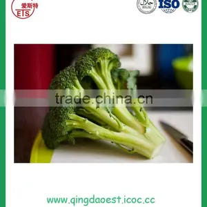 Wholesale Fresh Broccoli for Sale thumbnail-4