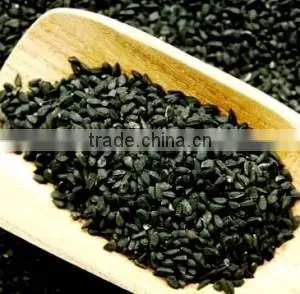 Immunity System Booster Nigella Sativa Seed Extract Clear Plastic Capsules ... thumbnail-6