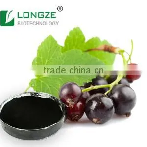 Manufacturer Sales Chinese Herbal Extract Healthy Black Currant Ribes Nigrum Powder Extract With Anthocyanidins 25%by UV thumbnail-1