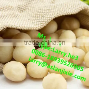 Macadamia Nut Sheller Machine/macadamia Nut Sheller/macadamia Nut Shelling Machine thumbnail-4
